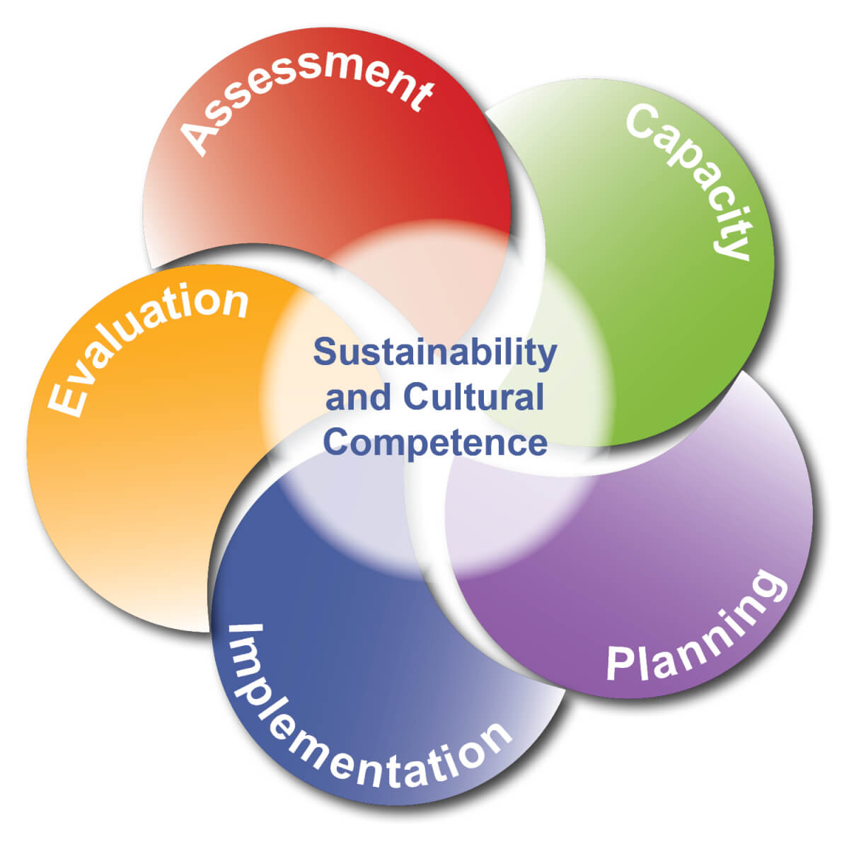 Sustainability And Cultural Competence