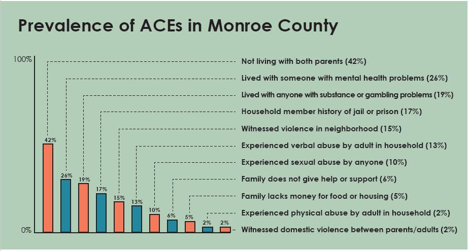 Bar graph of Adverse Childhood Experiences in Monroe County, NY